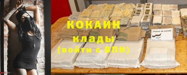 прущие крисы Богданович