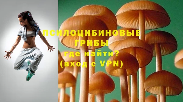 прущие крисы Богданович