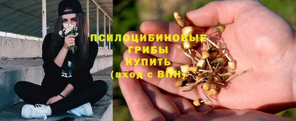 кокаин перу Богородицк