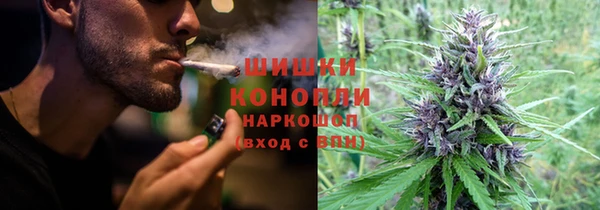прущие крисы Богданович