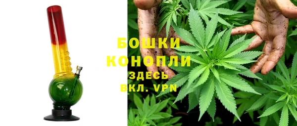 прущие крисы Богданович