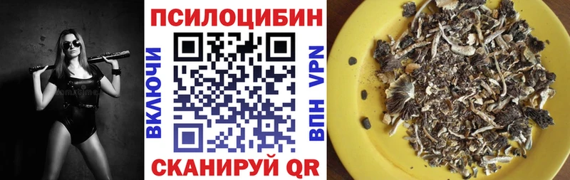 Псилоцибиновые грибы мицелий  где купить   Красавино 